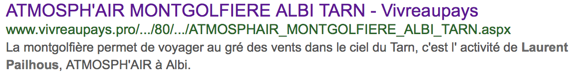 Atmosph'Air montgolfières Albi Tarn - Vivreaupays